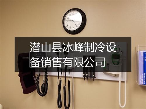 潜山县冰峰制冷设备销售有限公司