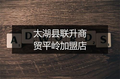太湖县联升商贸平岭加盟店