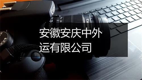安徽安庆中外运有限公司