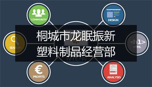 桐城市龙眠振新塑料制品经营部