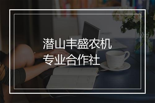 潜山丰盛农机专业合作社