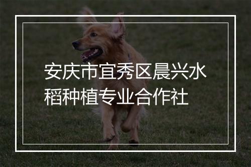 安庆市宜秀区晨兴水稻种植专业合作社