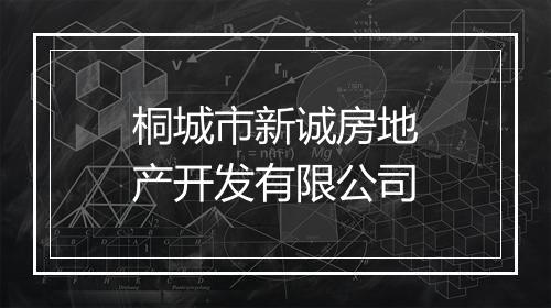 桐城市新诚房地产开发有限公司