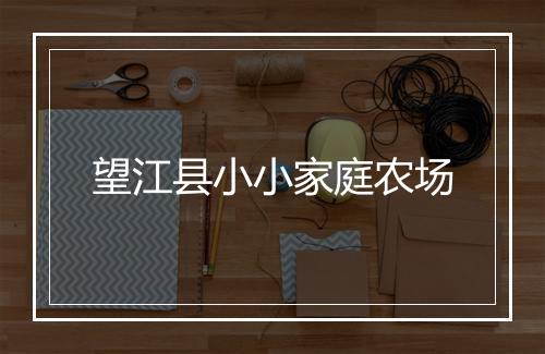 望江县小小家庭农场