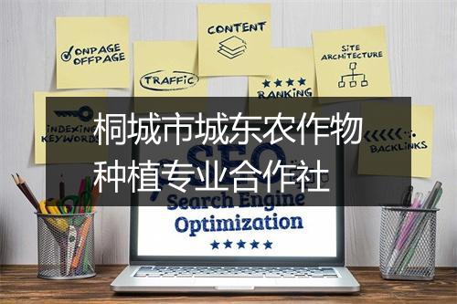 桐城市城东农作物种植专业合作社