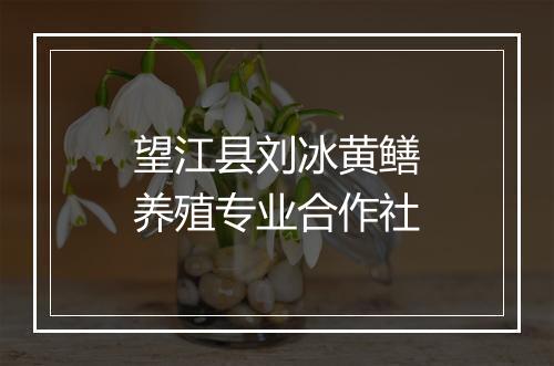 望江县刘冰黄鳝养殖专业合作社