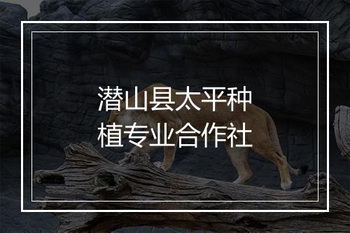 潜山县太平种植专业合作社