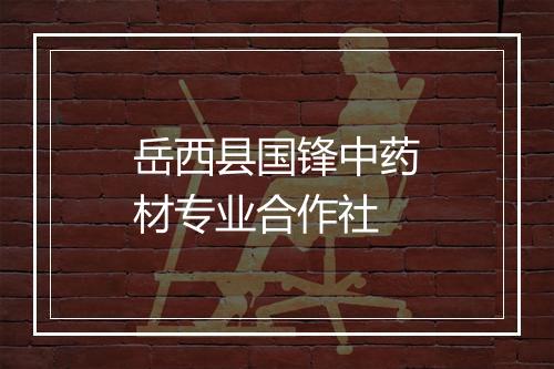 岳西县国锋中药材专业合作社