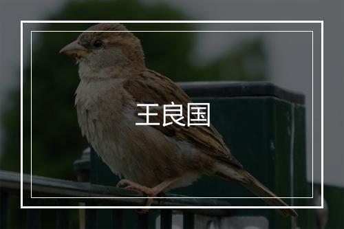王良国