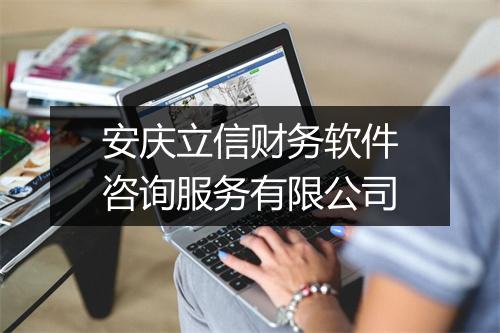 安庆立信财务软件咨询服务有限公司