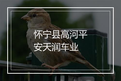 怀宁县高河平安天润车业
