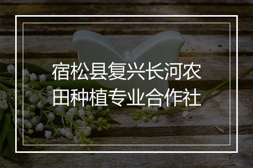 宿松县复兴长河农田种植专业合作社