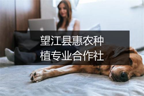 望江县惠农种植专业合作社