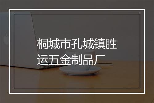 桐城市孔城镇胜运五金制品厂