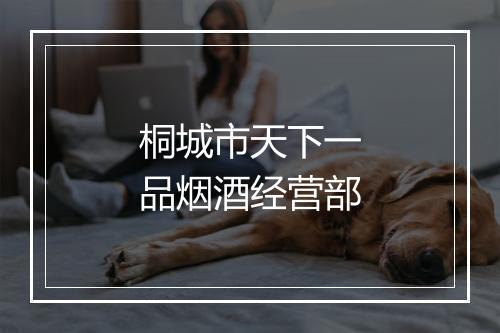 桐城市天下一品烟酒经营部