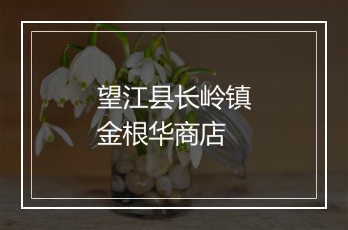 望江县长岭镇金根华商店