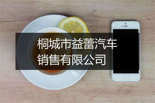 桐城市益蕾汽车销售有限公司
