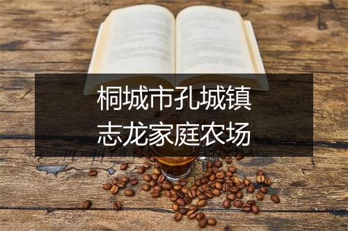 桐城市孔城镇志龙家庭农场