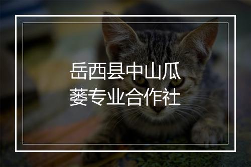 岳西县中山瓜蒌专业合作社