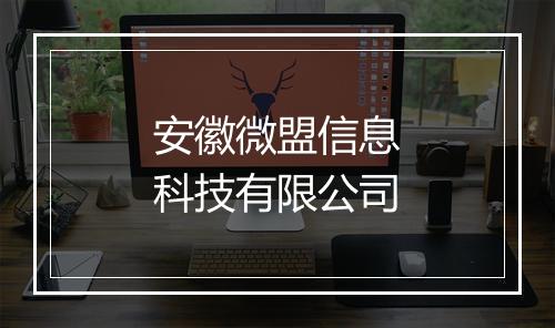 安徽微盟信息科技有限公司