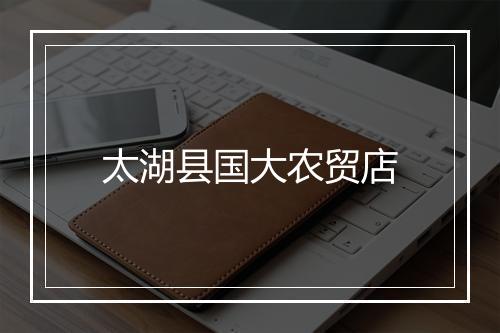 太湖县国大农贸店