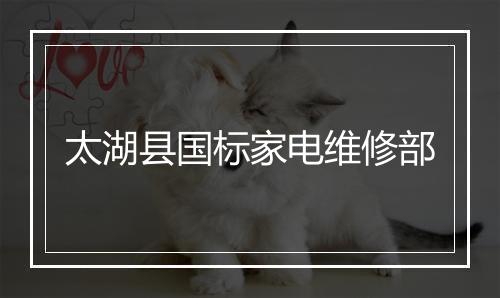 太湖县国标家电维修部