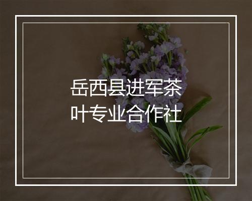 岳西县进军茶叶专业合作社