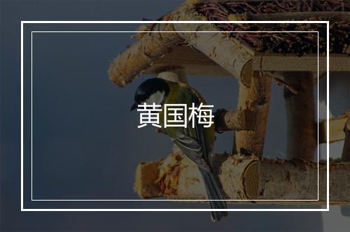 黄国梅
