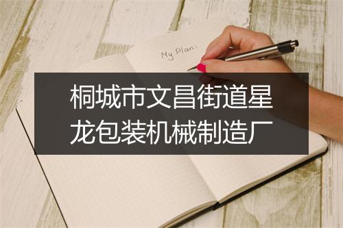 桐城市文昌街道星龙包装机械制造厂
