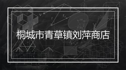 桐城市青草镇刘萍商店