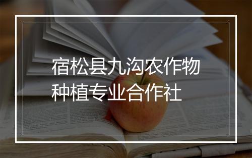 宿松县九沟农作物种植专业合作社