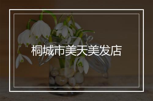 桐城市美天美发店