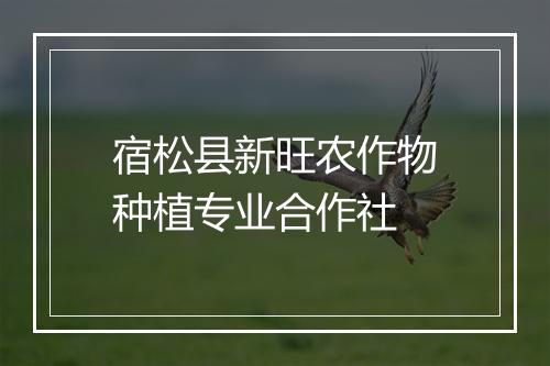 宿松县新旺农作物种植专业合作社