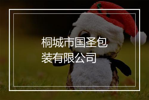 桐城市国圣包装有限公司