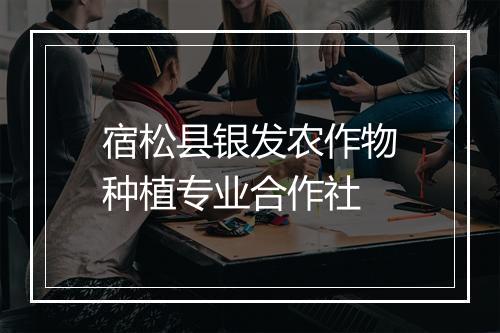 宿松县银发农作物种植专业合作社