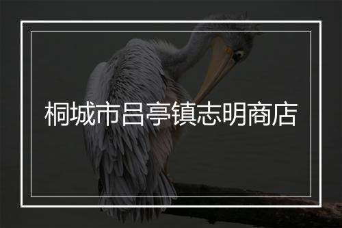 桐城市吕亭镇志明商店
