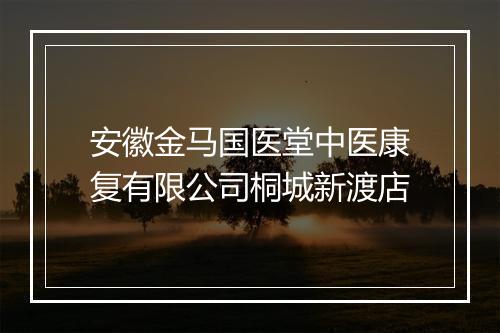 安徽金马国医堂中医康复有限公司桐城新渡店