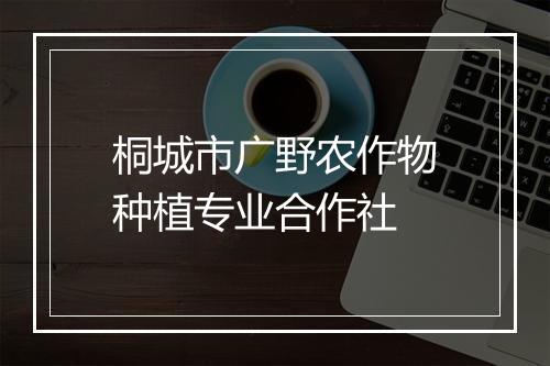 桐城市广野农作物种植专业合作社
