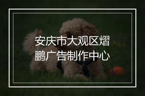 安庆市大观区熠鹏广告制作中心
