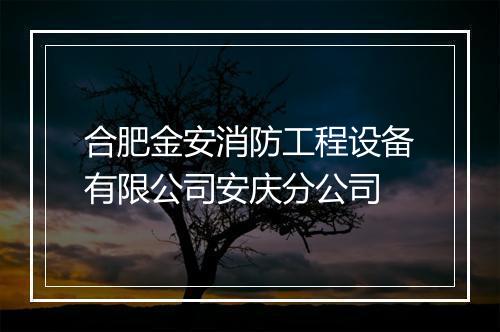 合肥金安消防工程设备有限公司安庆分公司