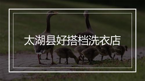 太湖县好搭档洗衣店