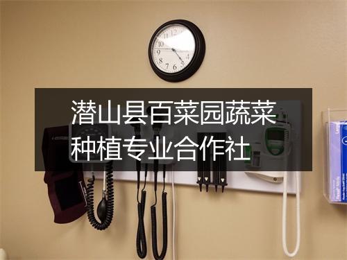 潜山县百菜园蔬菜种植专业合作社