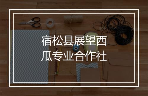 宿松县展望西瓜专业合作社