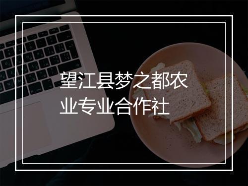 望江县梦之都农业专业合作社