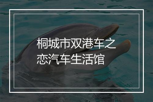 桐城市双港车之恋汽车生活馆