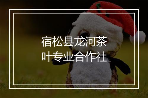 宿松县龙河茶叶专业合作社