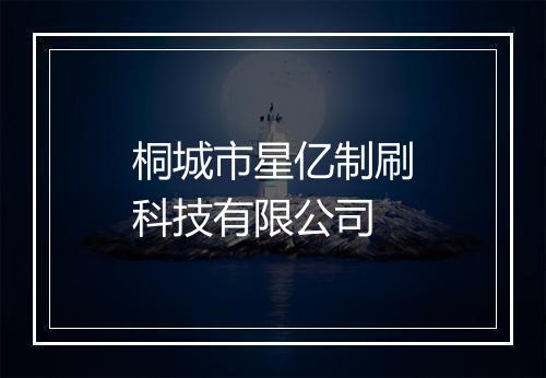 桐城市星亿制刷科技有限公司