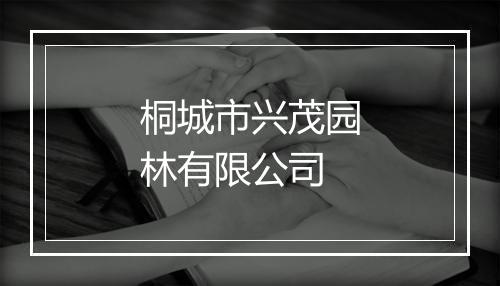 桐城市兴茂园林有限公司