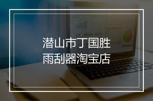 潜山市丁国胜雨刮器淘宝店