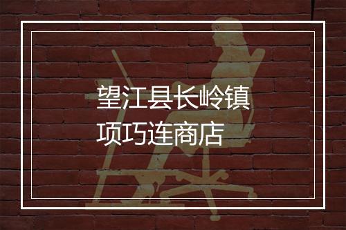 望江县长岭镇项巧连商店